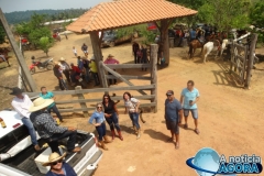 DSC04553