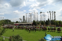 DSC04689