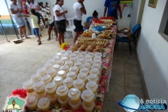 DSC06003